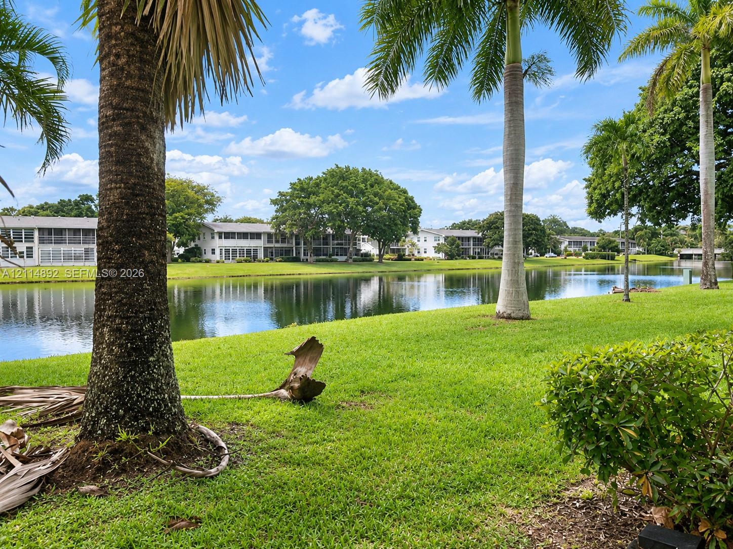 Waterfront parcel featuring mature palm trees, manicured turf, and established landscaping
