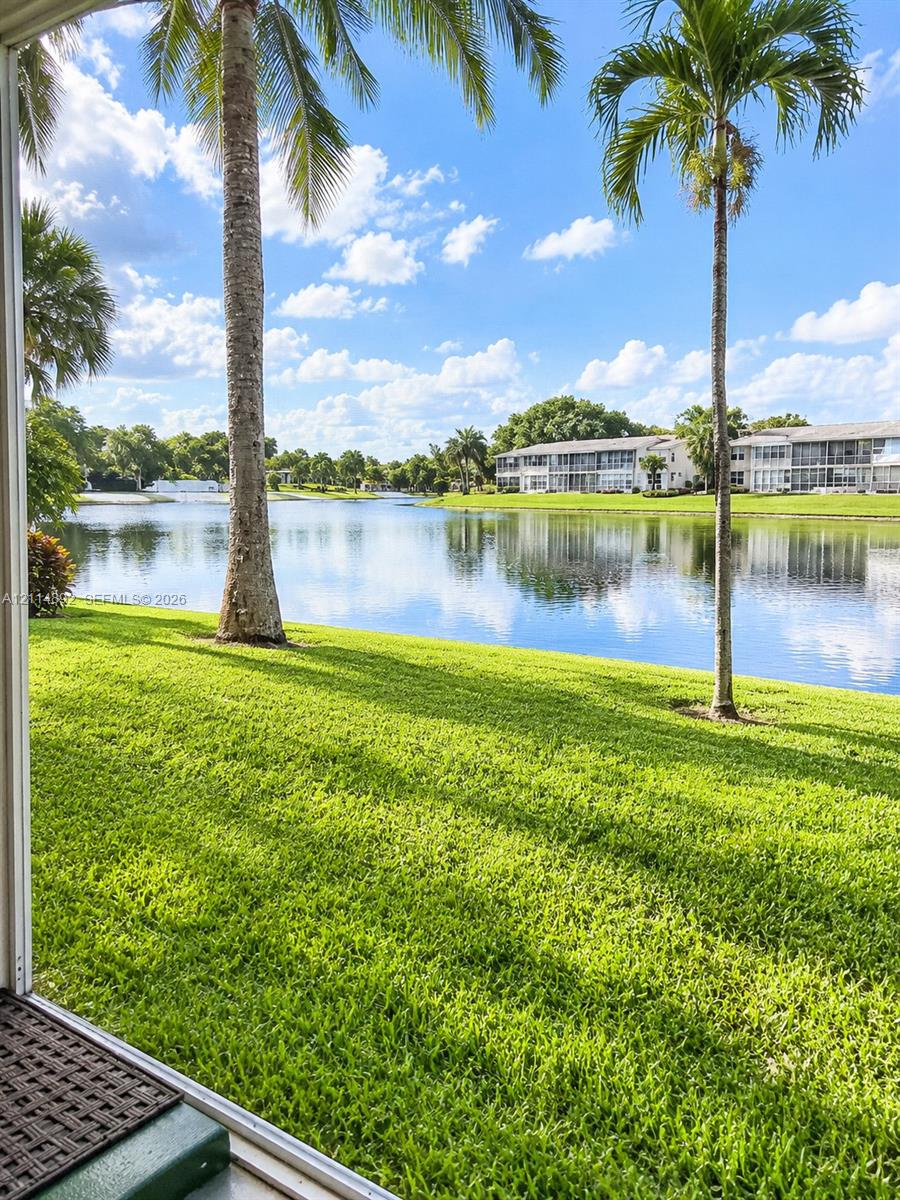 Waterfront grounds featuring a grass lawn, mature palm trees, and a lake