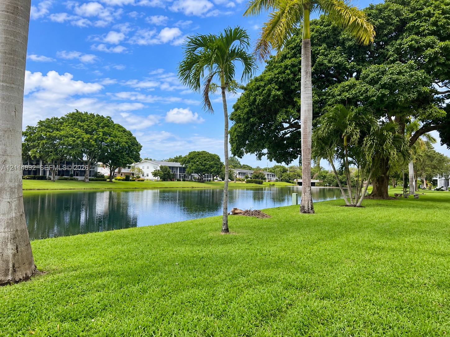 Waterfront grounds featuring a manicured lawn, mature trees, and palms