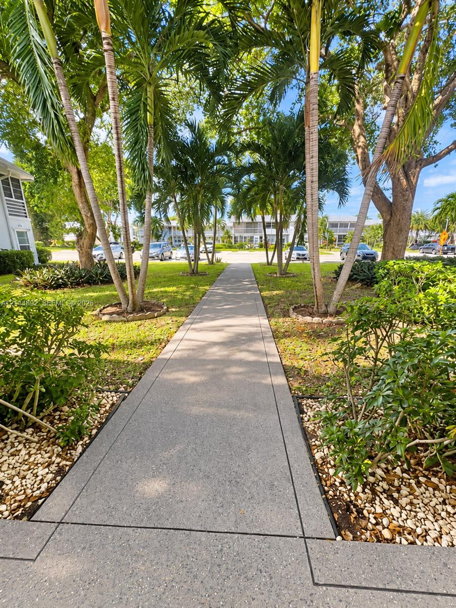 Concrete walkway lined with mature palm trees, manicured landscaping, and stone-accented garden beds