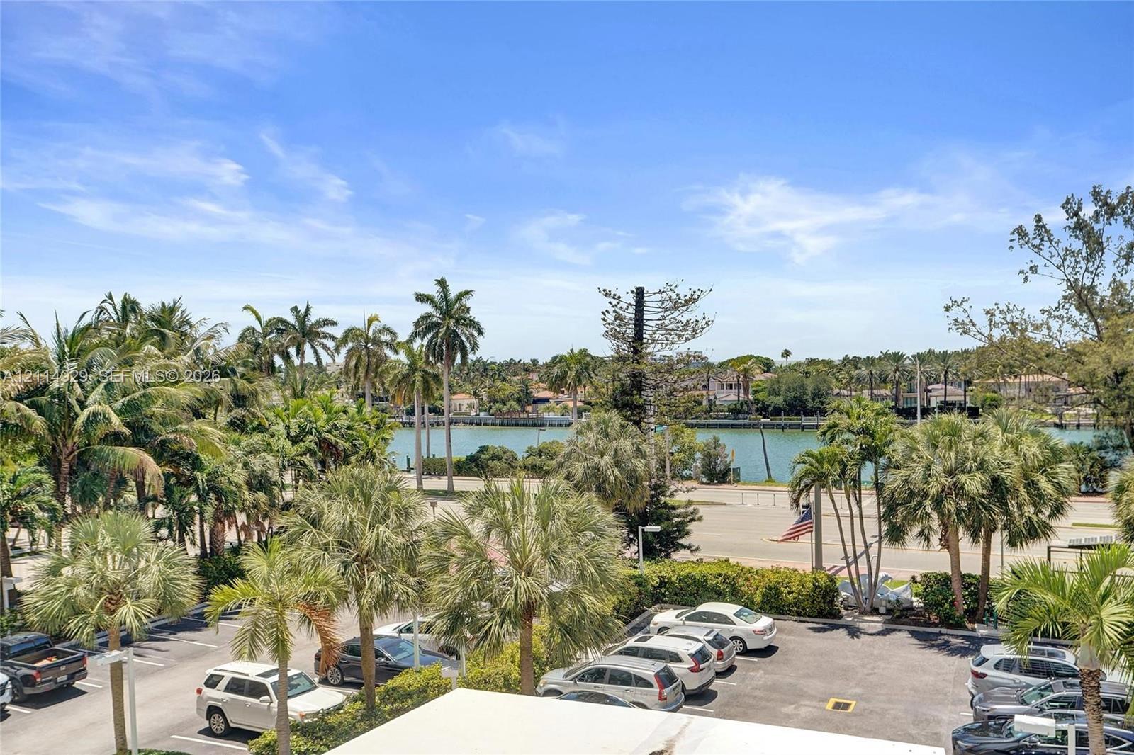 Waterfront scenery with mature palm trees and paved parking area