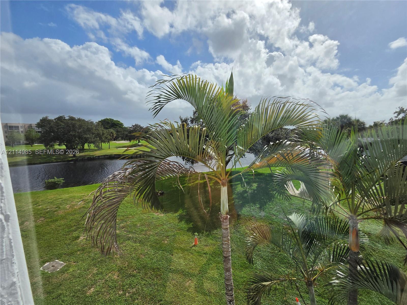 Exterior scenery featuring a waterfront setting, manicured lawn, and mature palm trees