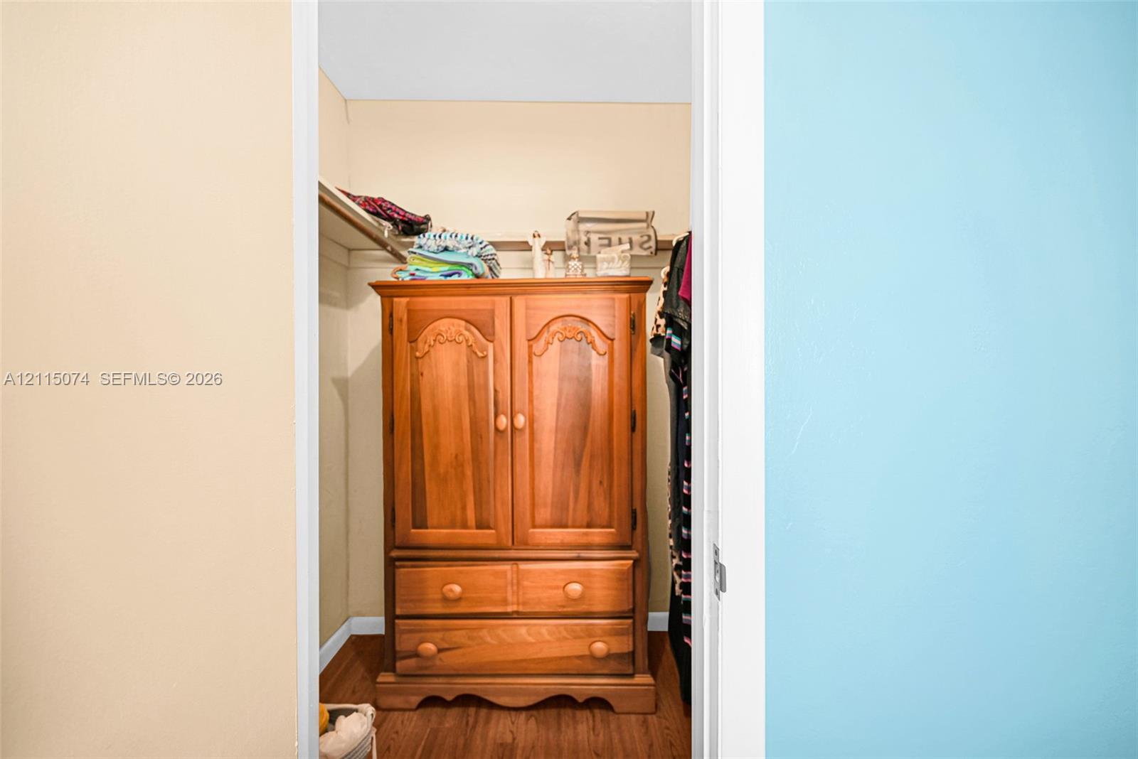 Walk-in closet featuring wood-finish flooring and integrated shelving
