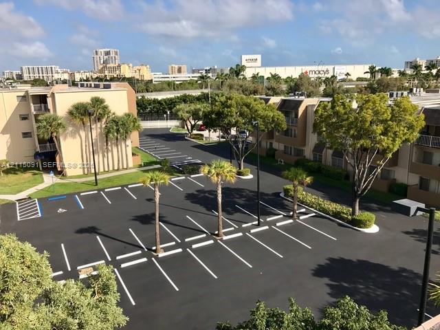 Paved surface parking lot featuring marked stalls, designated accessible parking spaces, and mature palm and shade trees