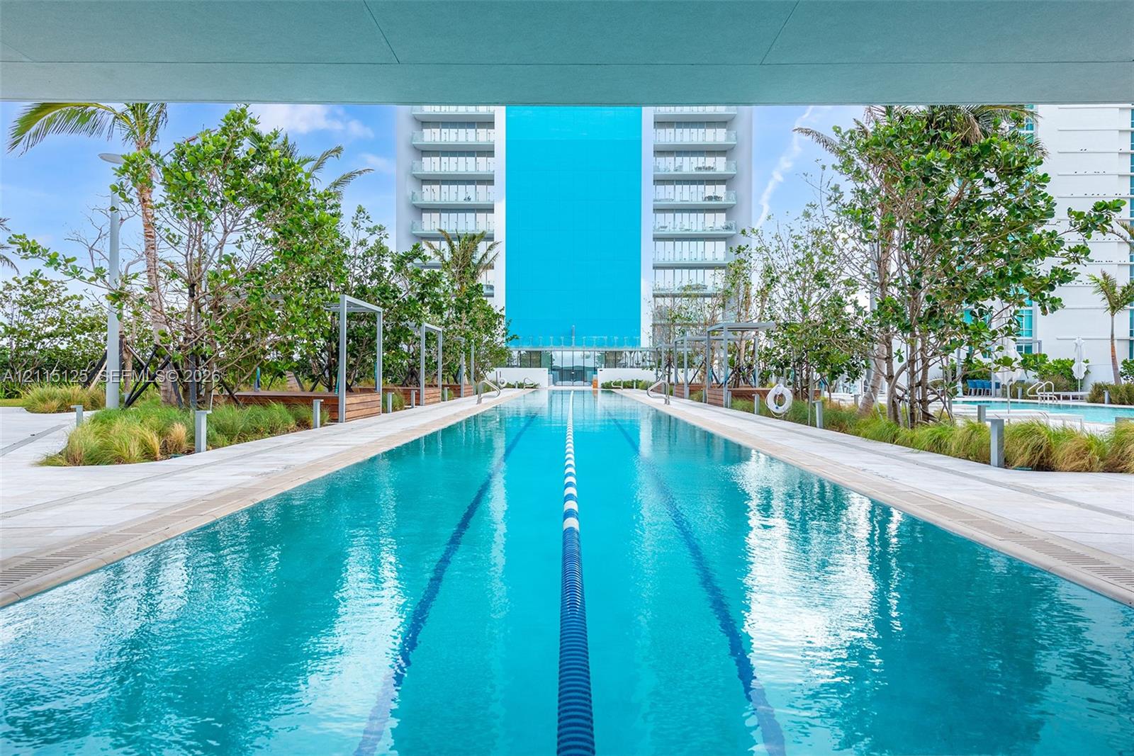 Lap pool with lane markers, light-toned stone decking, and surrounding palm tree landscaping