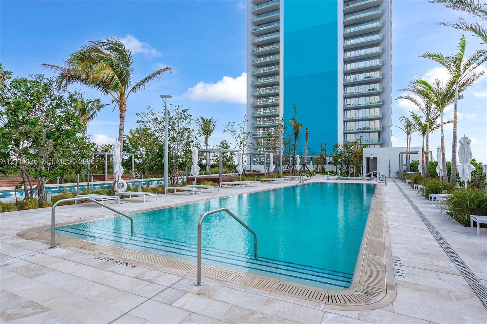 Rectangular swimming pool featuring stone paver decking, stainless steel entry rails, and integrated landscape planting beds with mature palm trees