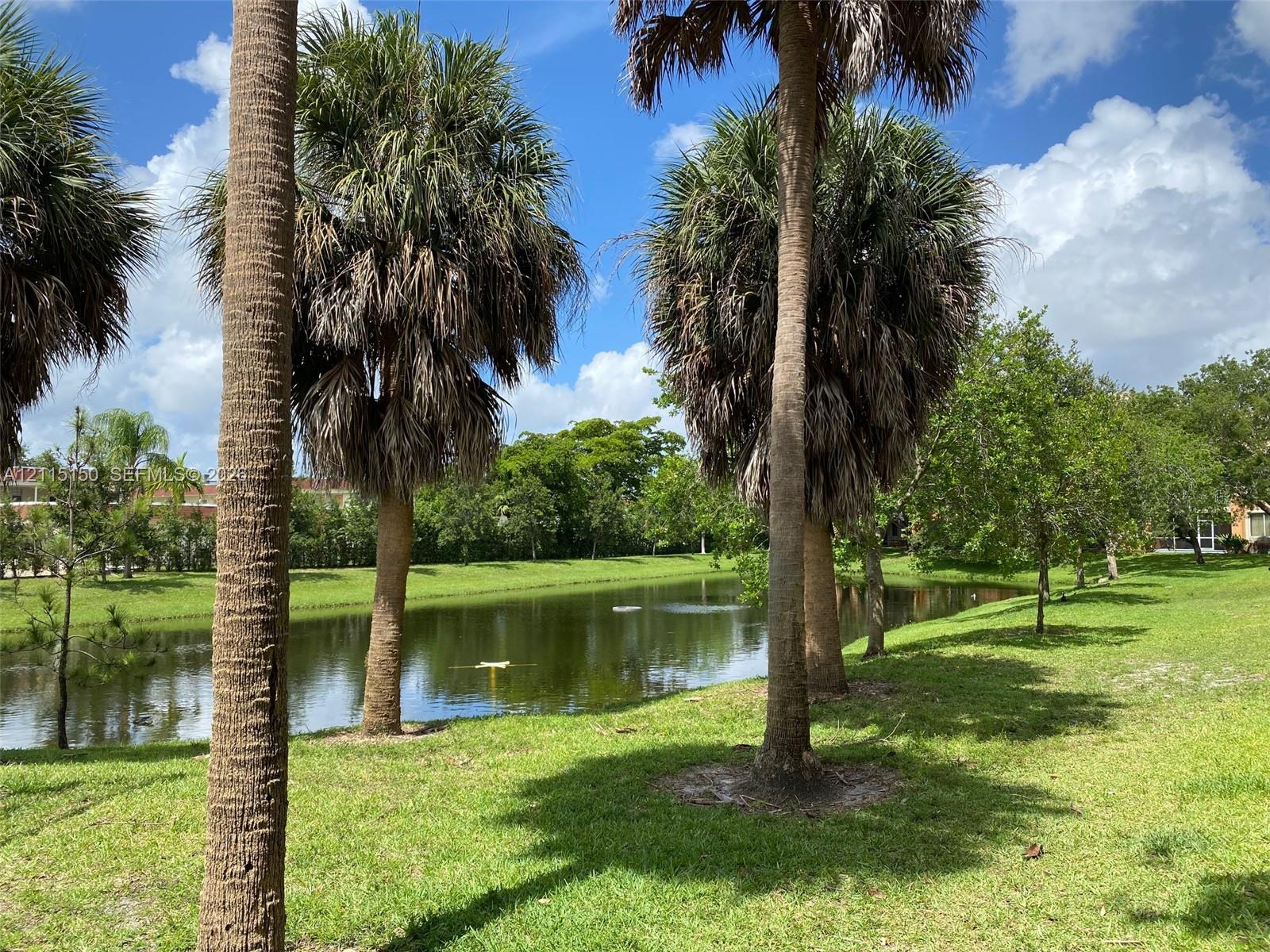 Waterfront grounds featuring a pond, manicured lawn, and mature palm trees