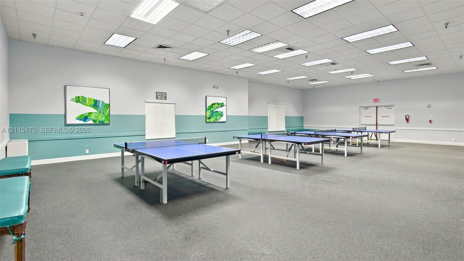 Ping pong room