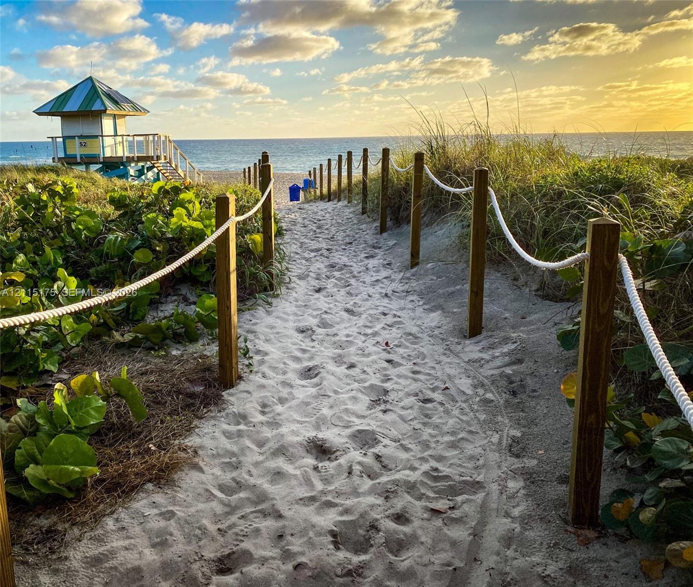 Sandy path through native dunes with direct beach access