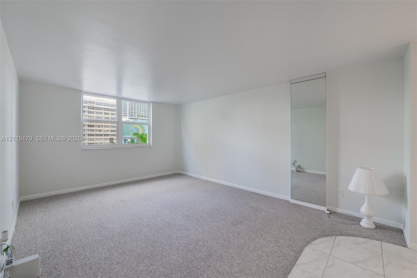 Open-concept room featuring wall-to-wall carpeting, floor-to-ceiling mirror panel, and double-pane window