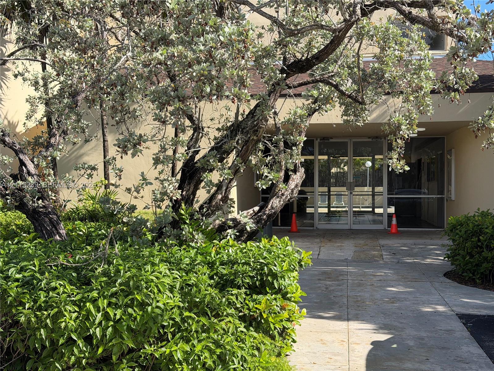 Exterior entrance featuring glass double doors, concrete walkway, and mature landscaping