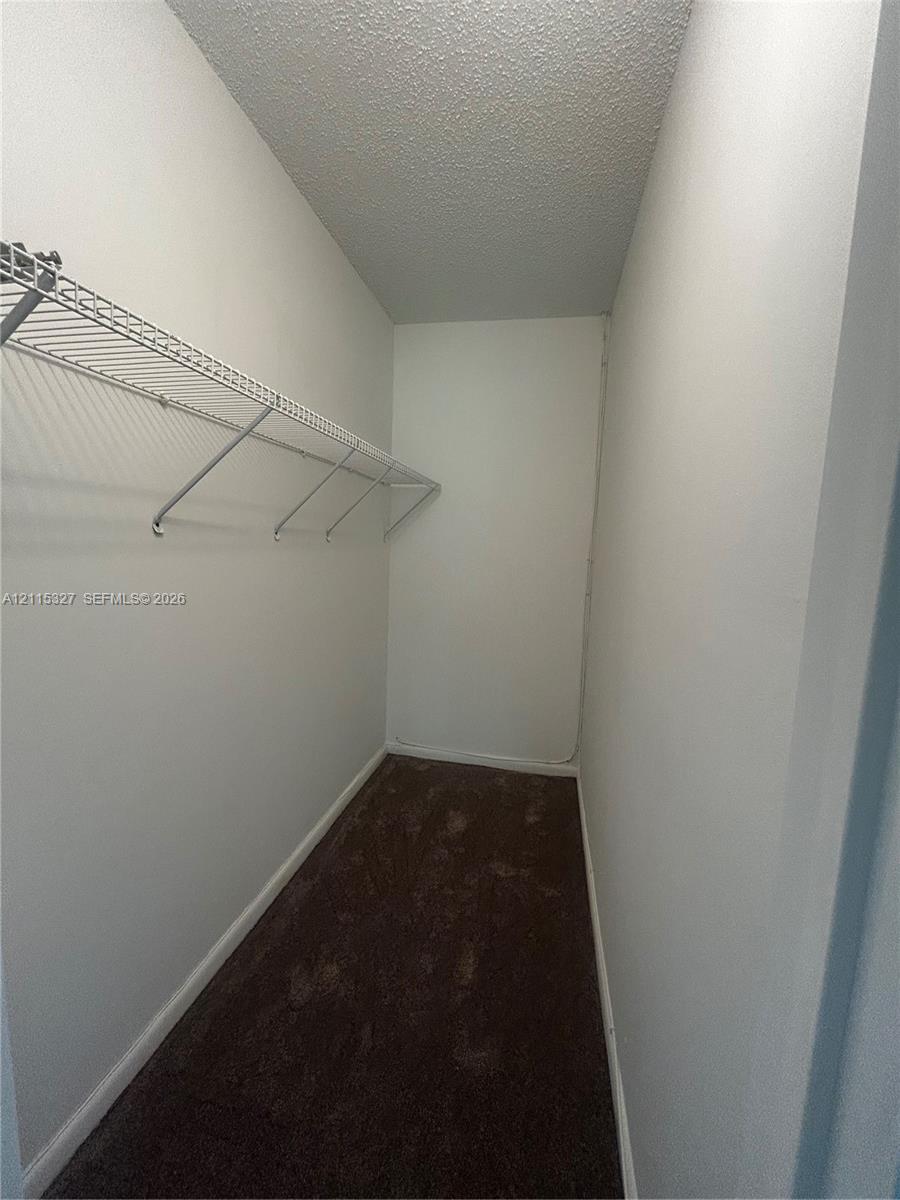 Storage area featuring wall-to-wall carpeting and wire shelving