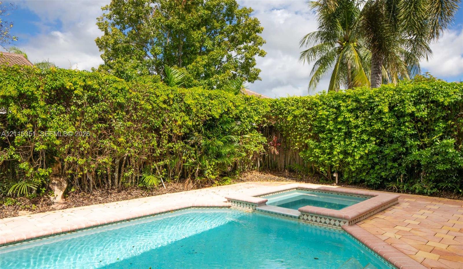 Swimming pool with attached spa, concrete paver decking, and dense perimeter landscaping