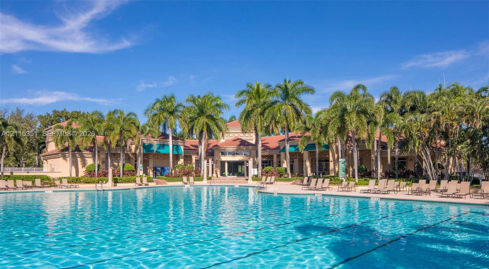 Large-scale swimming pool featuring a concrete deck and mature palm tree landscaping