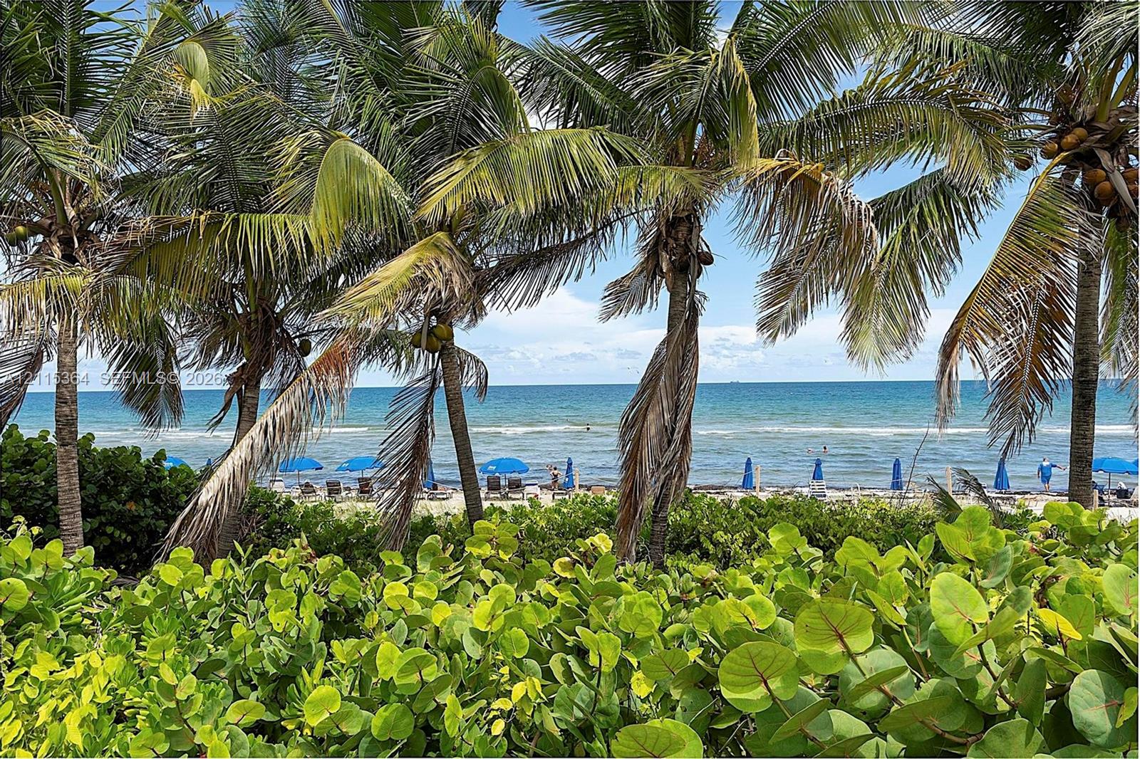 Oceanfront scenery featuring mature palm trees, coastal foliage, and sandy beach shoreline
