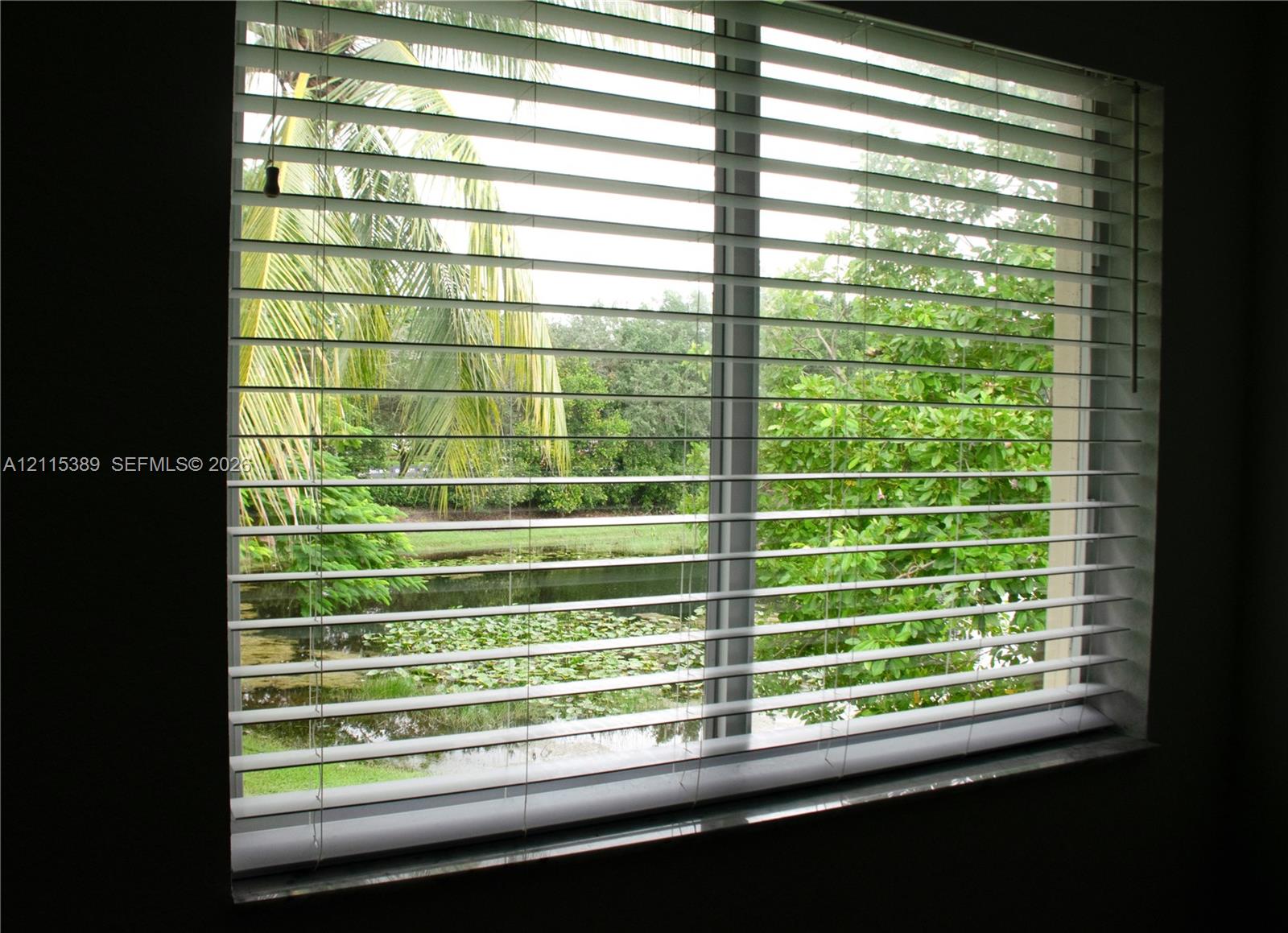 Second Bedroom view