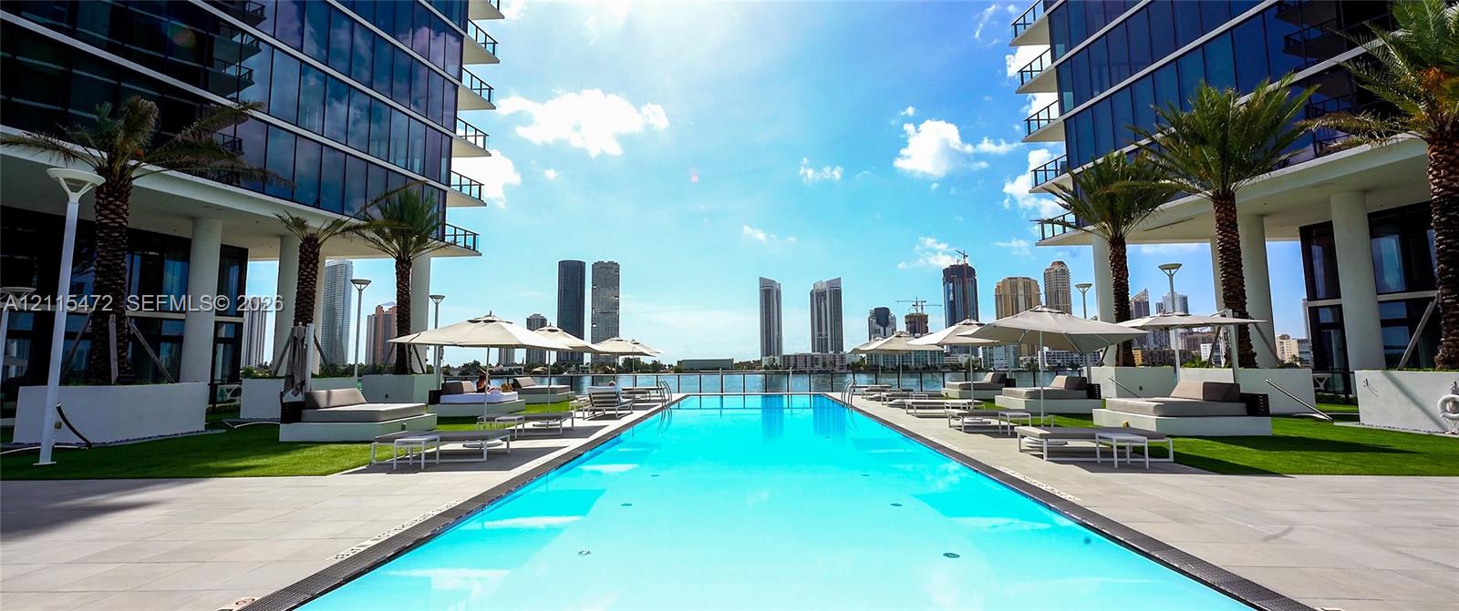 Rectangular swimming pool featuring a stone-tile deck, glass-panel perimeter fencing, and surrounding mature palm trees