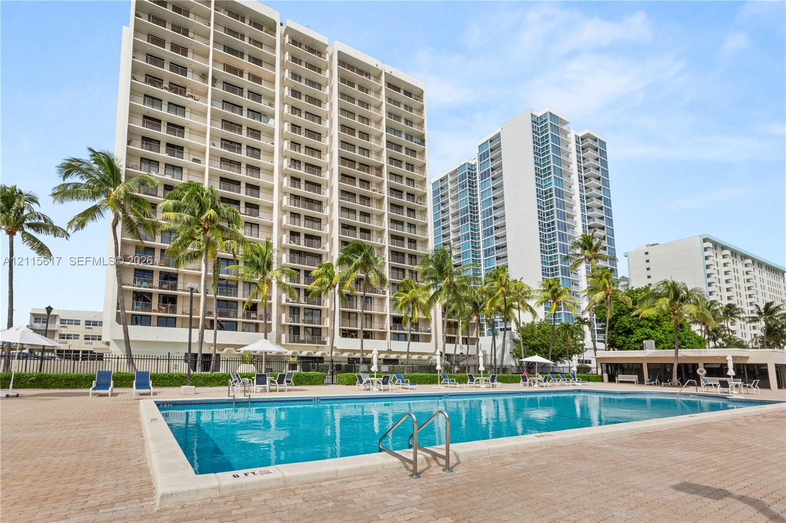 Rectangular swimming pool featuring a concrete surround, metal ladder entry, and established palm trees