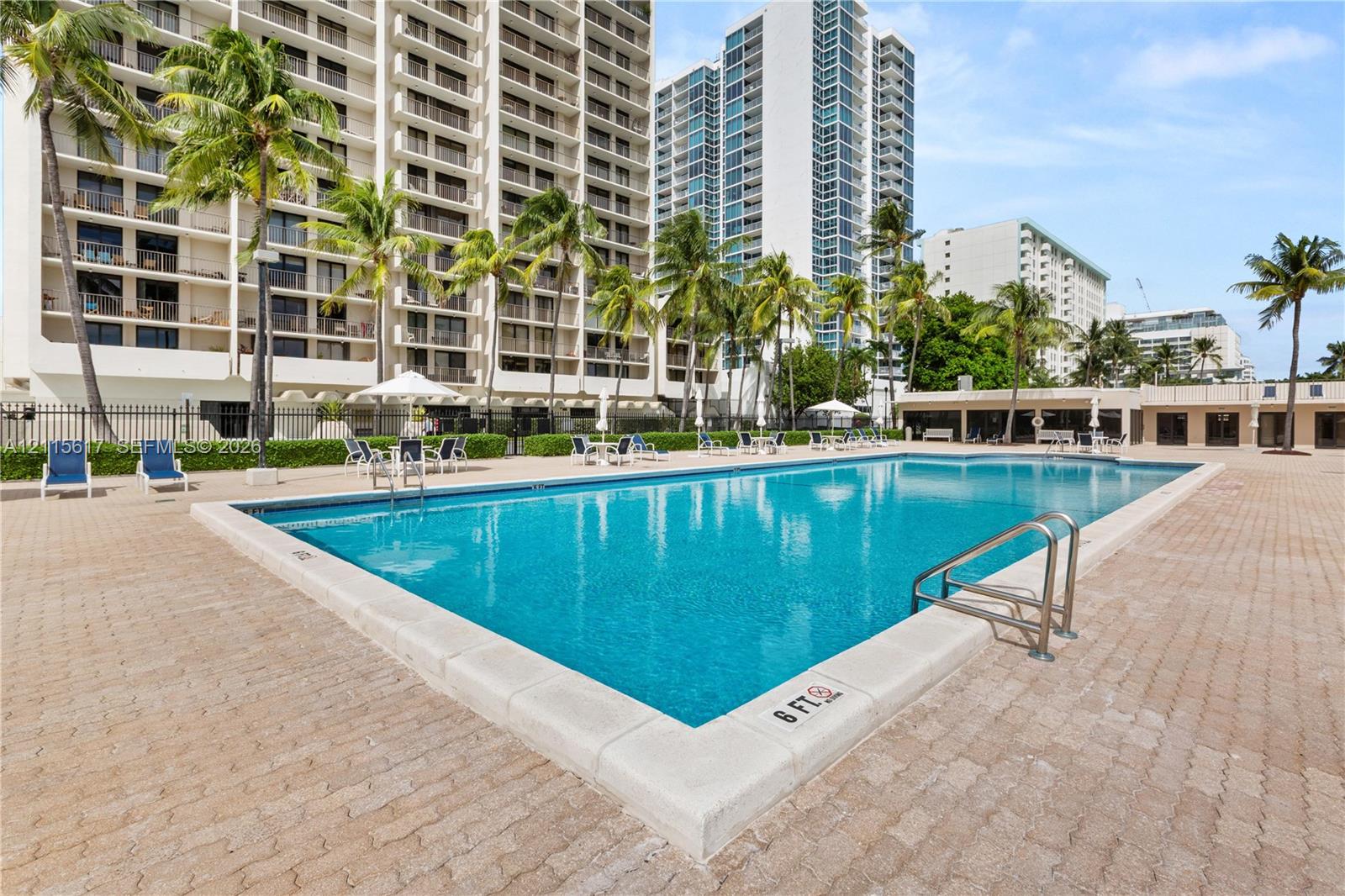 Rectangular swimming pool featuring a stone-paver deck, metal ladder access, and surrounding palm trees