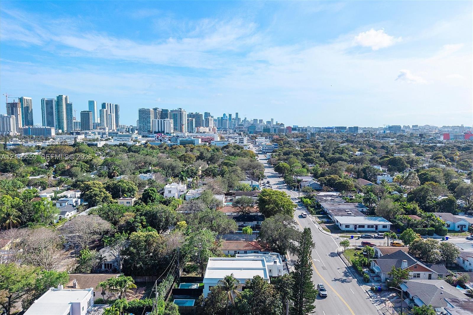 Aerial perspective featuring an urban skyline backdrop and mature landscape canopy