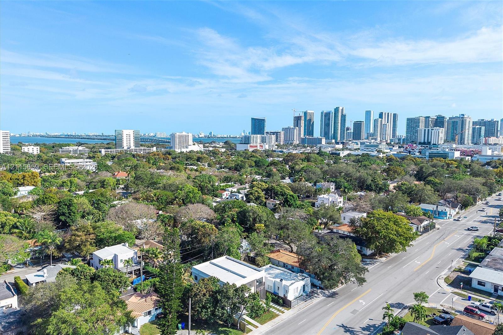 Aerial perspective featuring a dense canopy of mature trees and skyline exposure