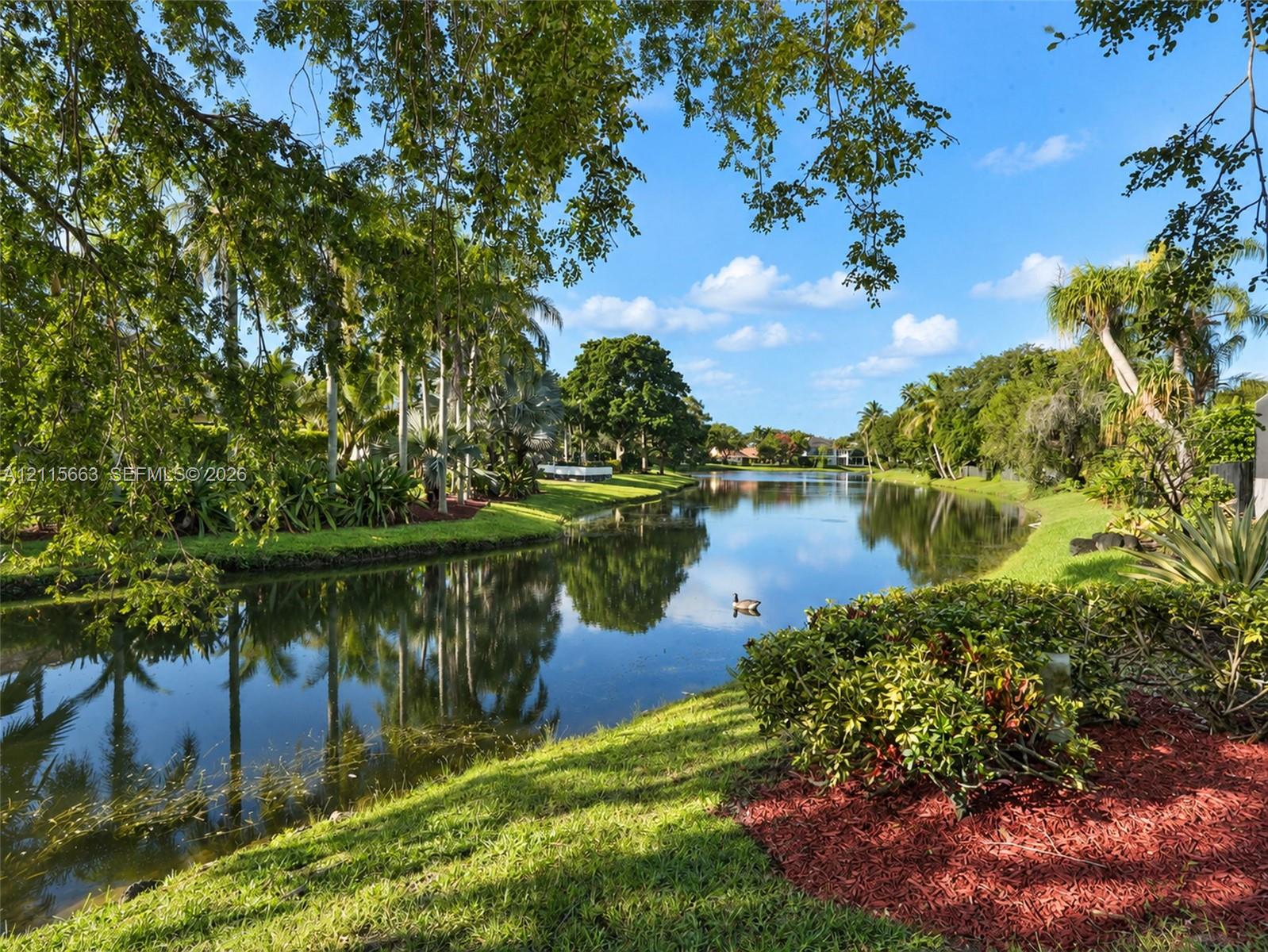 Waterfront grounds featuring a natural pond, mature tropical trees, landscaped shrubbery, and mulched garden beds