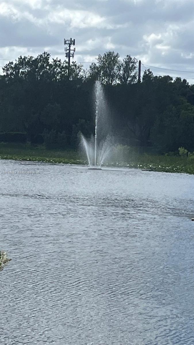 Pond featuring a central water fountain and peripheral vegetation