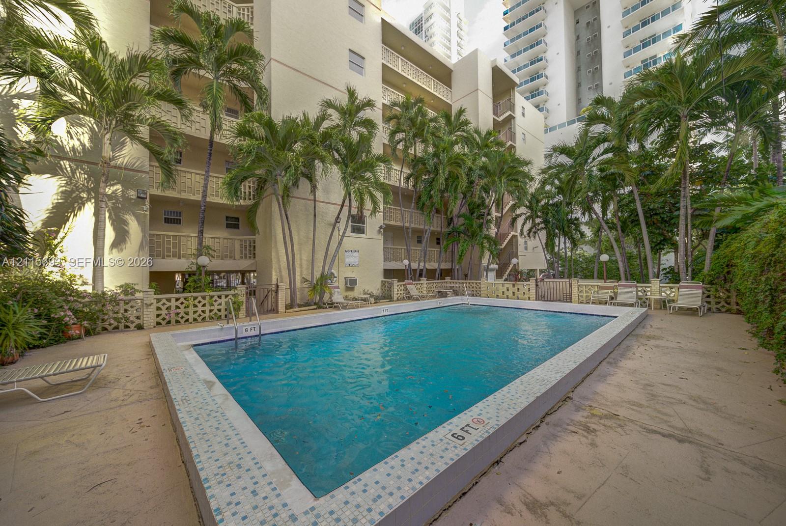 Rectangular in-ground swimming pool with a decorative tile border, concrete deck, and surrounding mature palm trees