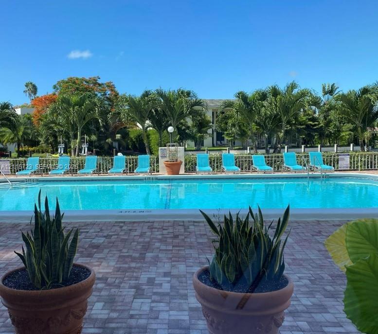 Outdoor swimming pool featuring a brick-paver deck, metal perimeter fencing, and mature palm tree landscaping