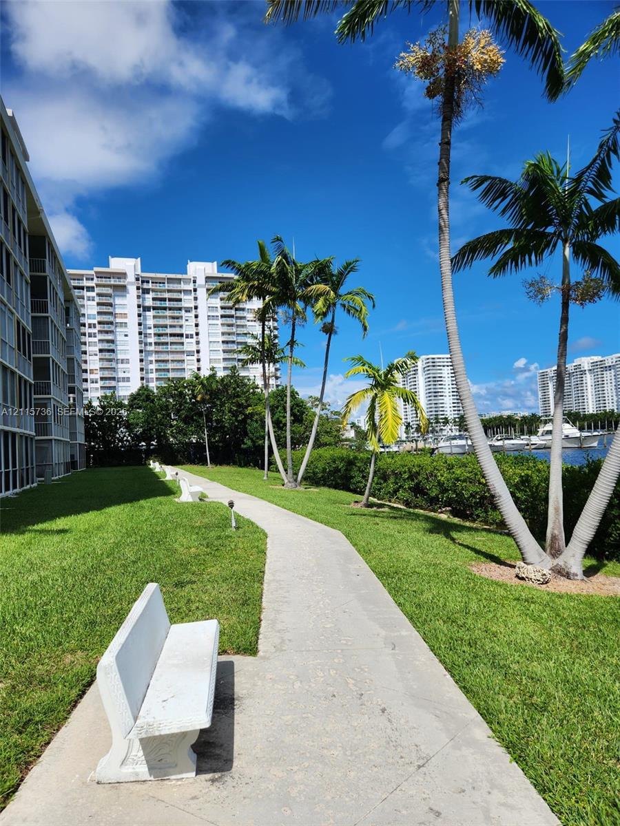 Concrete walking path featuring manicured landscaping, mature palm trees, and built-in stone benches