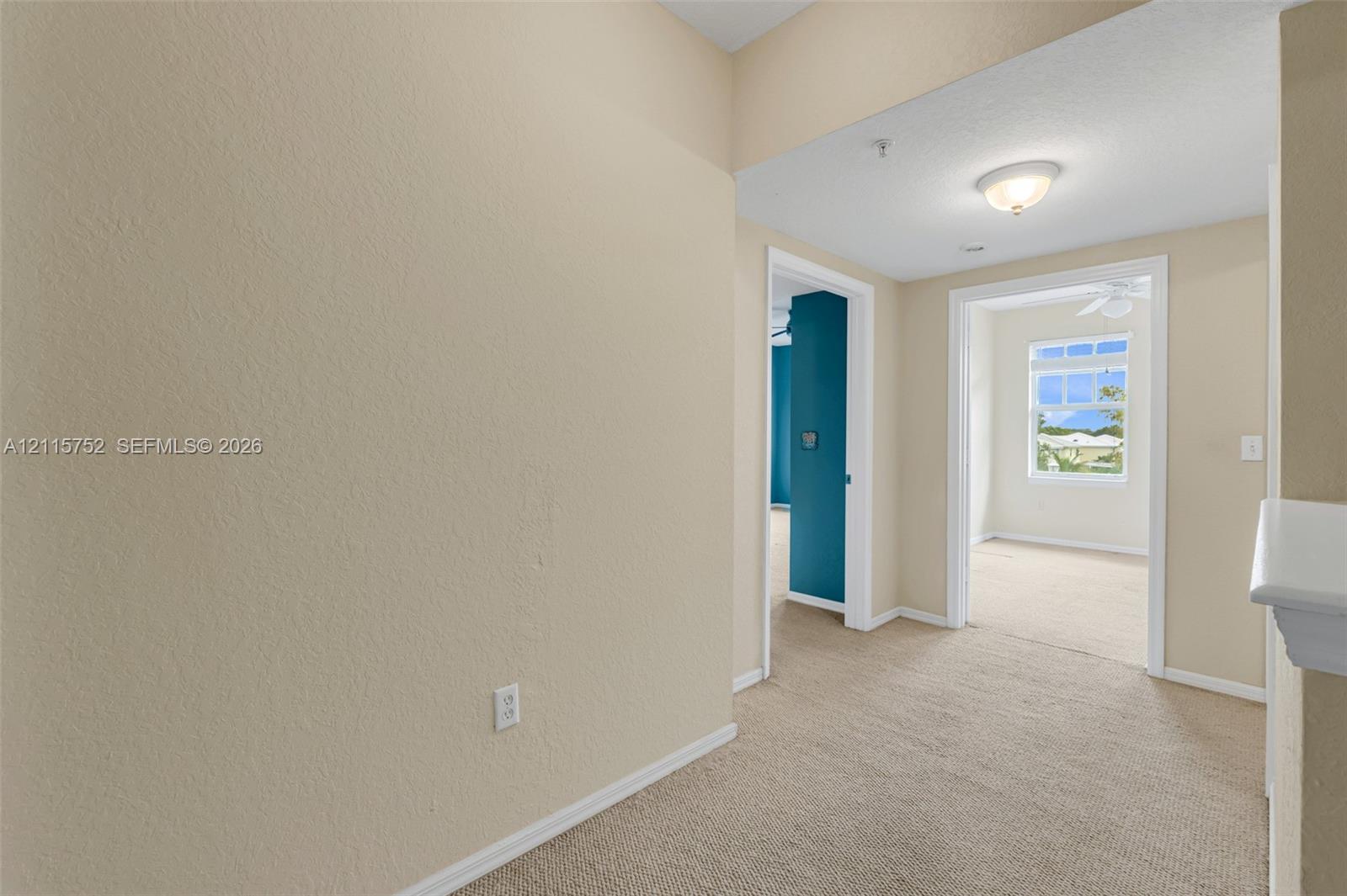 Interior hallway featuring neutral wall finishes, carpeting, and overhead flush-mount lighting, with architectural openings revealing natural light and a multi-pane window