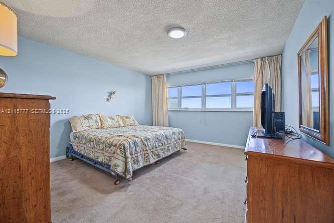 Room featuring expansive horizontal windows, neutral wall coloring, and wall-to-wall carpeting