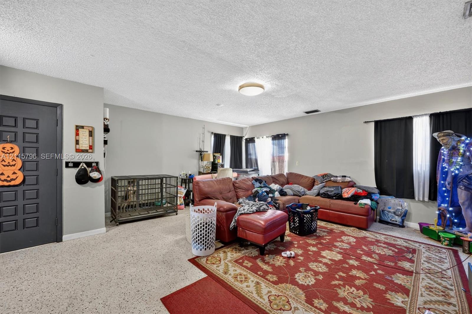 Interior space featuring neutral wall paint, terrazzo flooring, a flush-mount ceiling light fixture, and a dark-toned paneled door