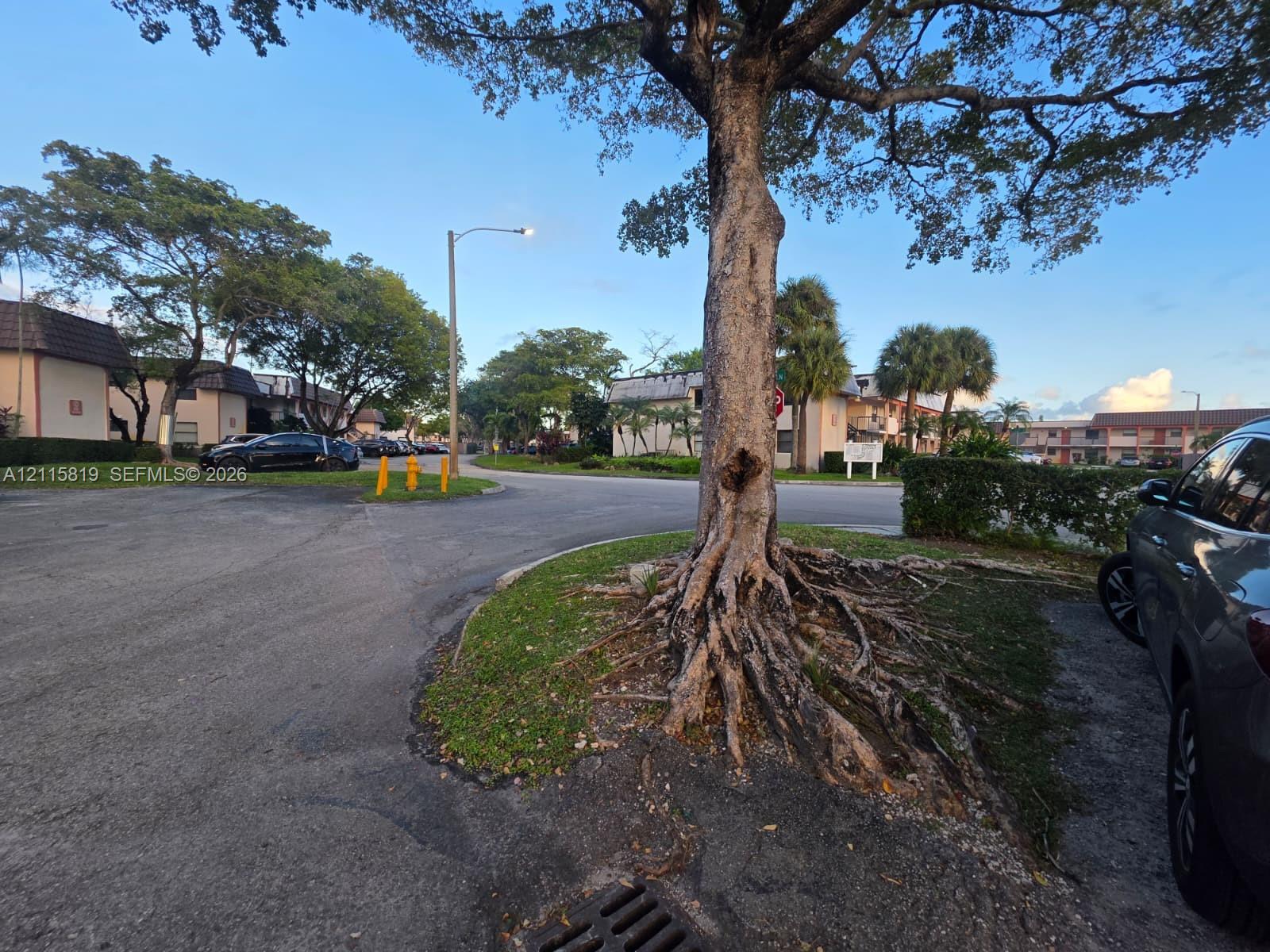 Asphalt parking area featuring mature trees, landscaped lawn, and palm foliage Asphalt parking area featuring mature trees, landscaped lawn, and palm foliage