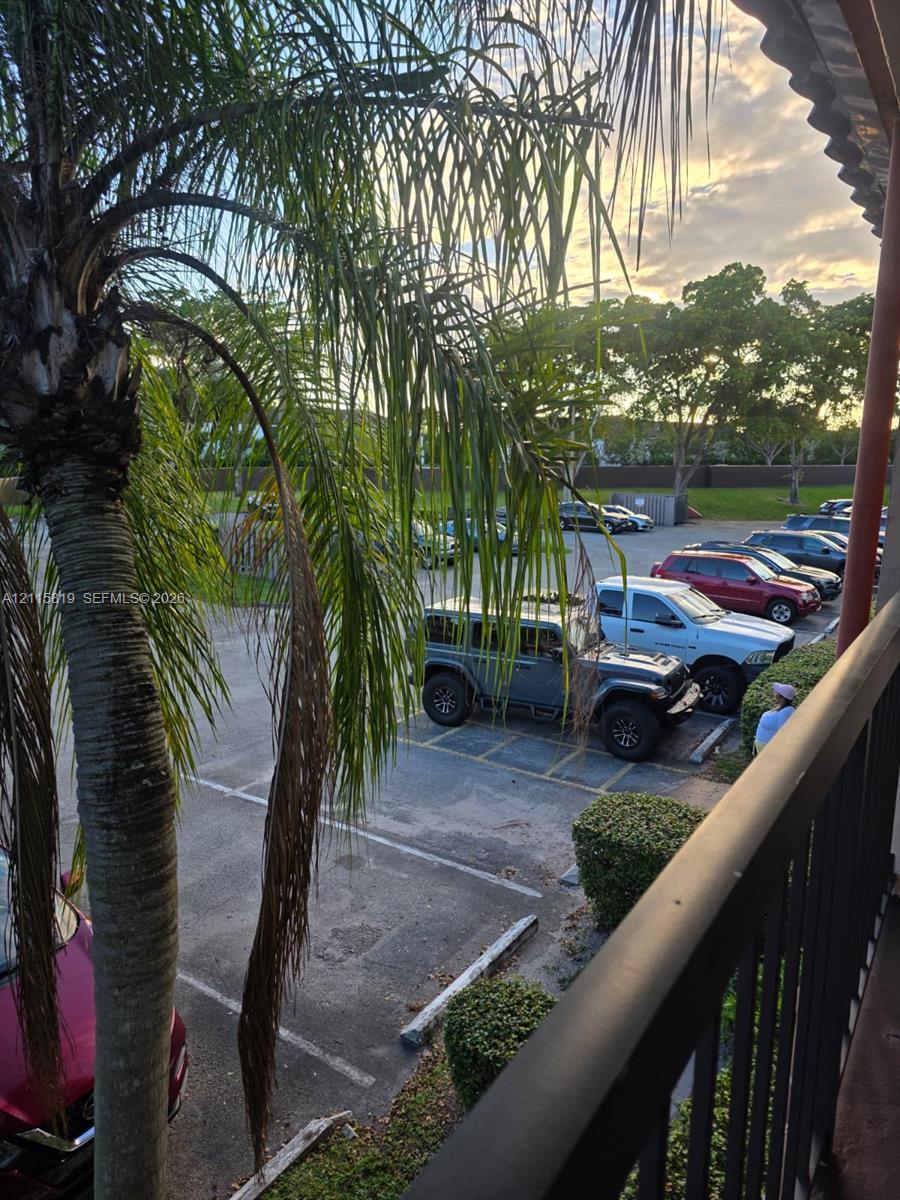 Private balcony featuring dark metal railings and mature palm foliage