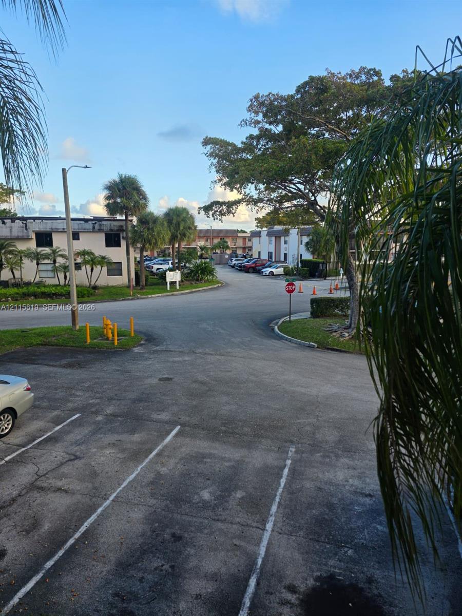 Asphalt parking area featuring painted stalls, mature palm trees, and manicured landscaping