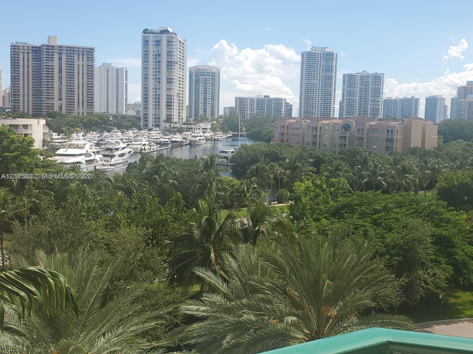 Panoramic scenery featuring mature palm trees, a winding waterway, a moored marina, and urban skyline high-rises