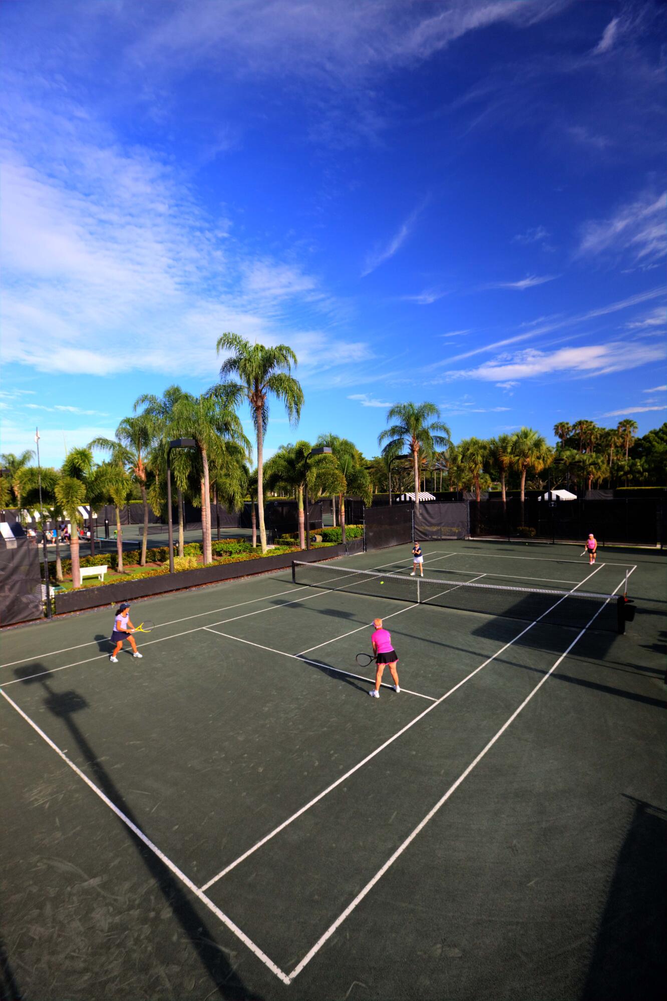 Tennis ladies P