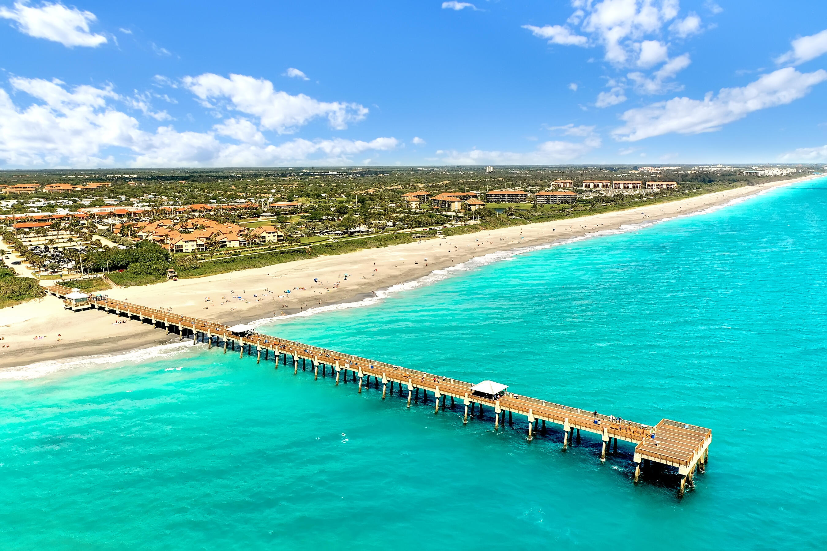 DJI_0446 DJI_0446