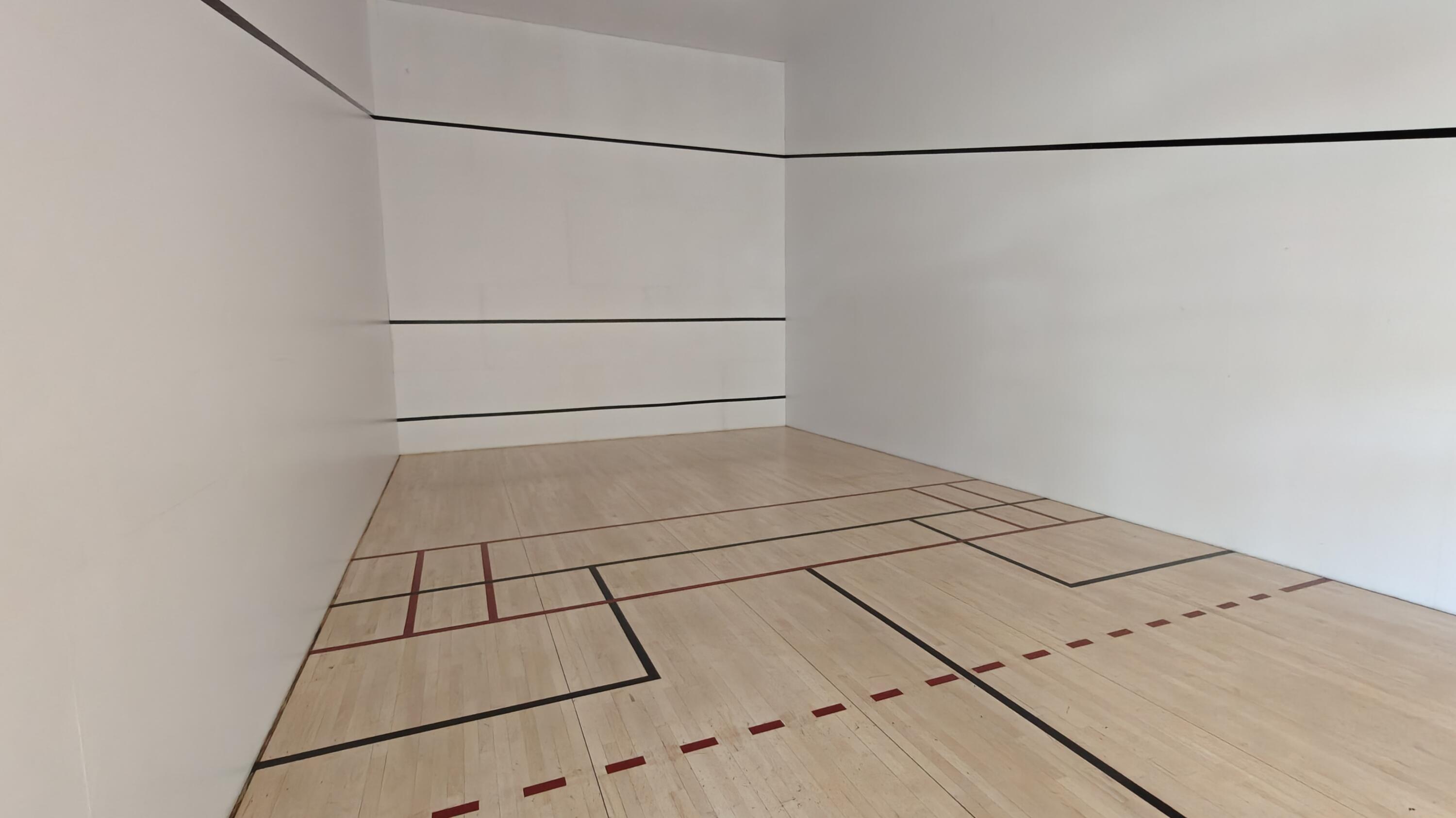 Indoor racquetball- clubhouse #1