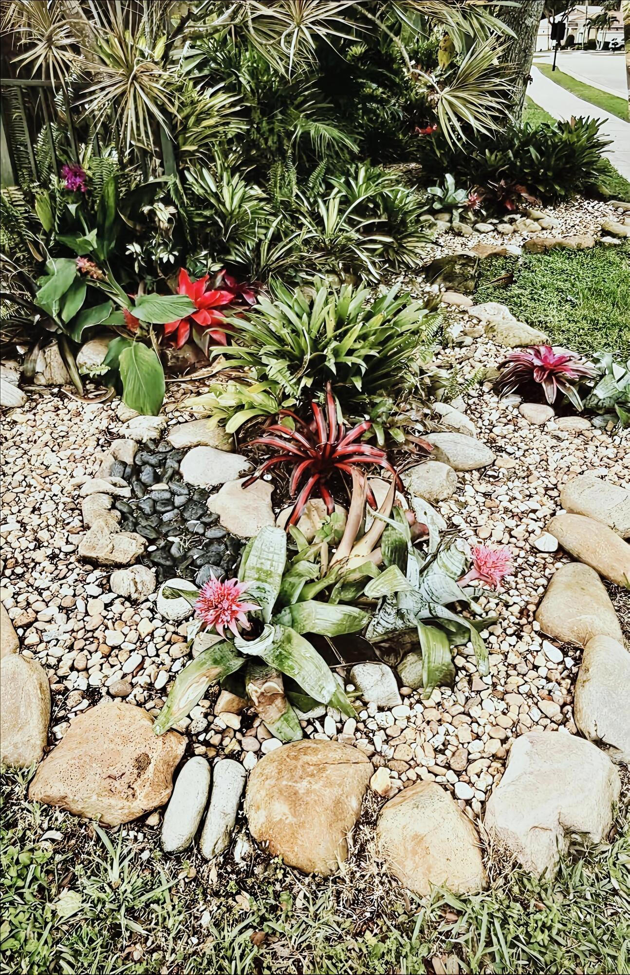 Front exterior corner, 20' rock garden
