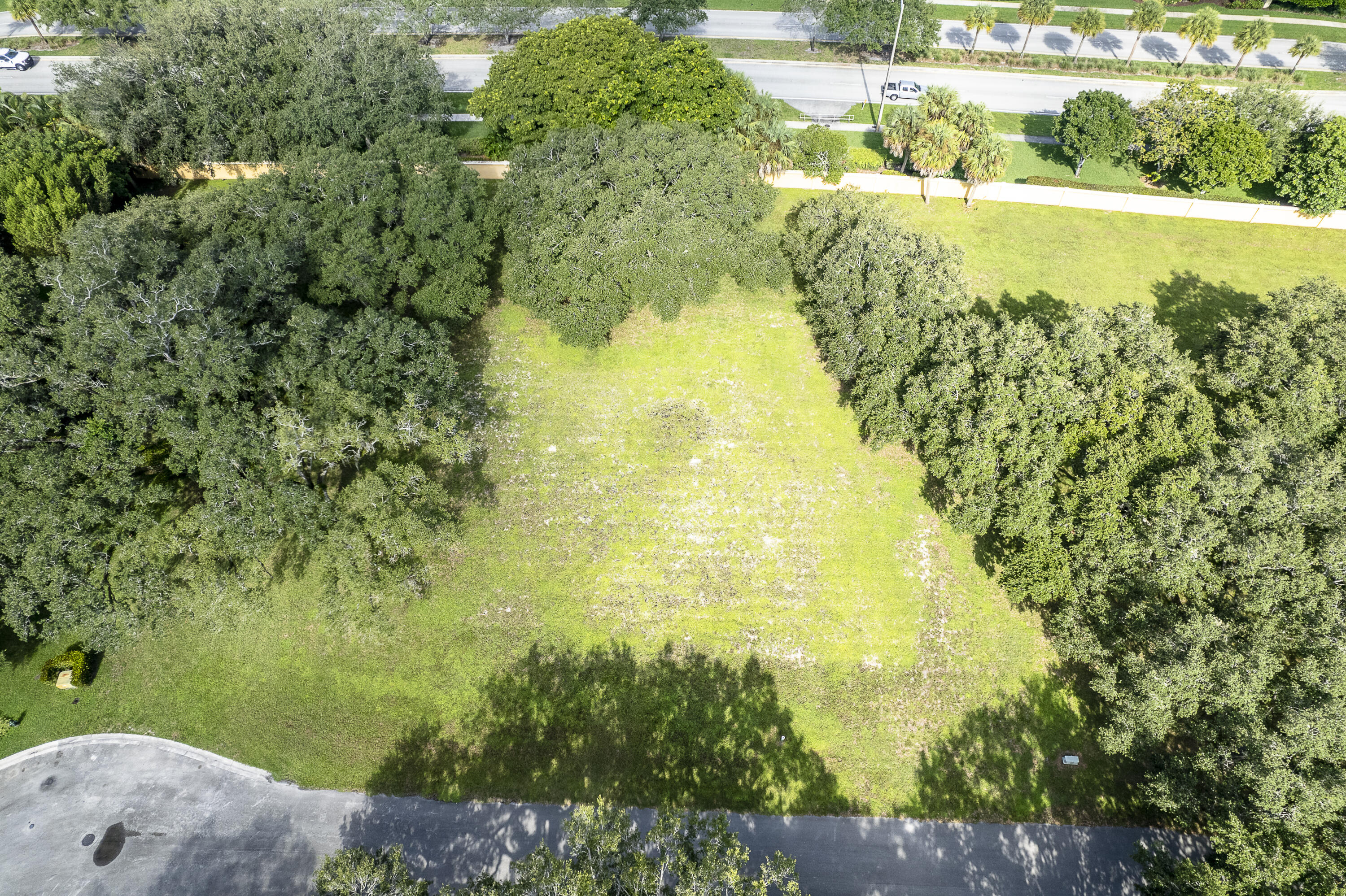 Homesite
