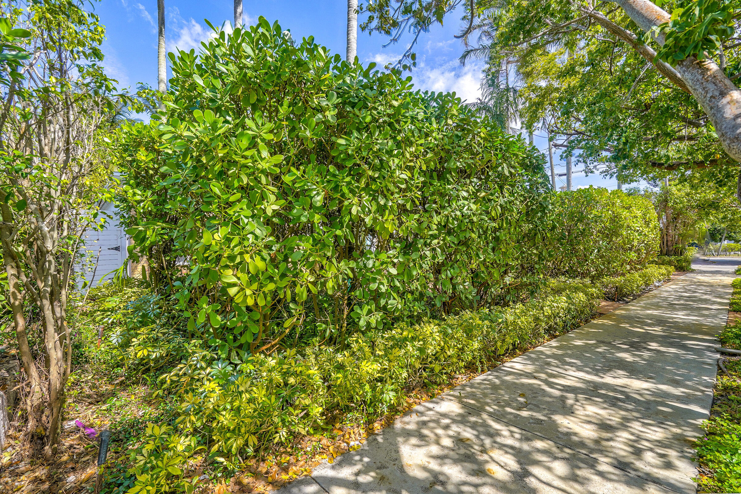 41126St-4