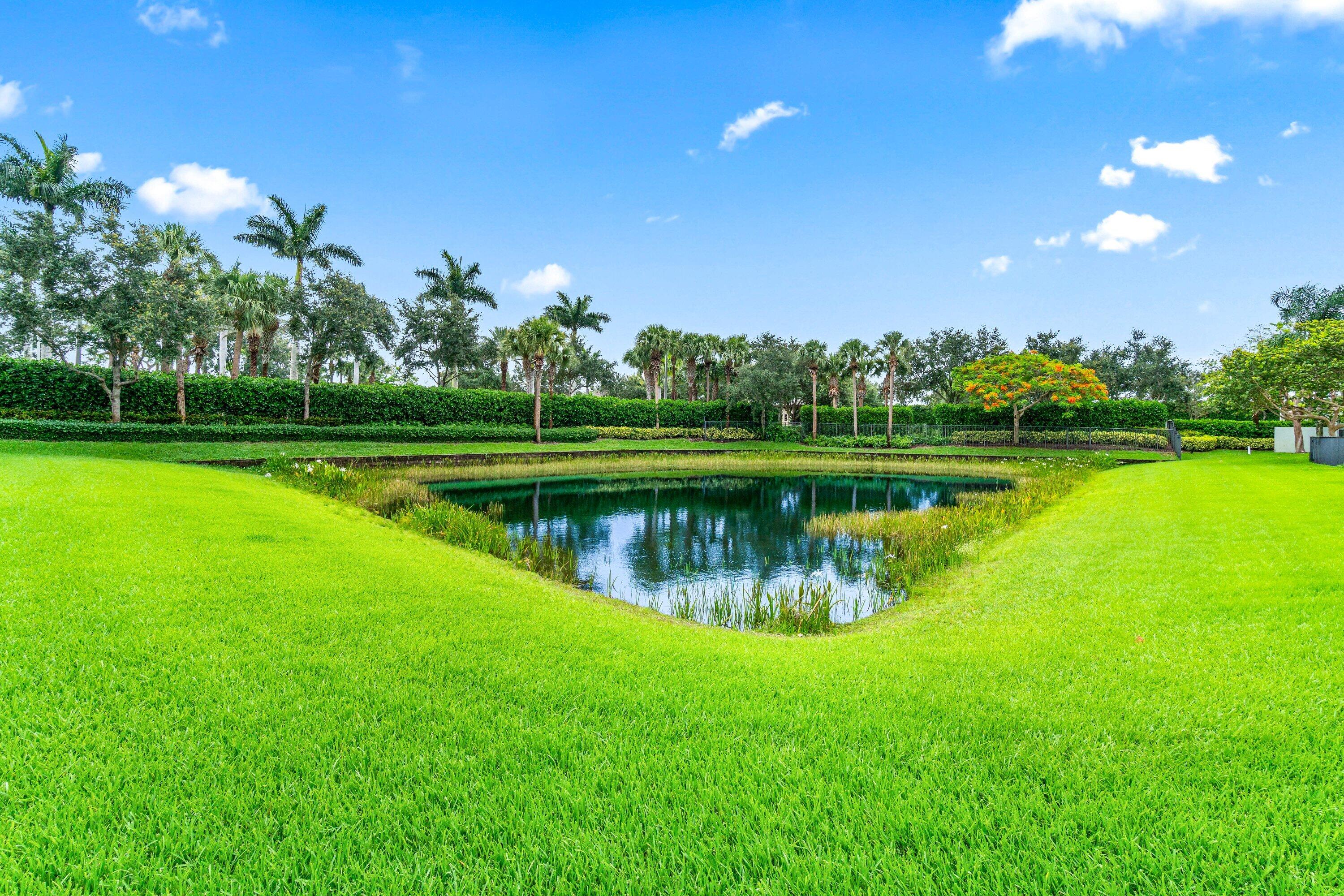 lake view