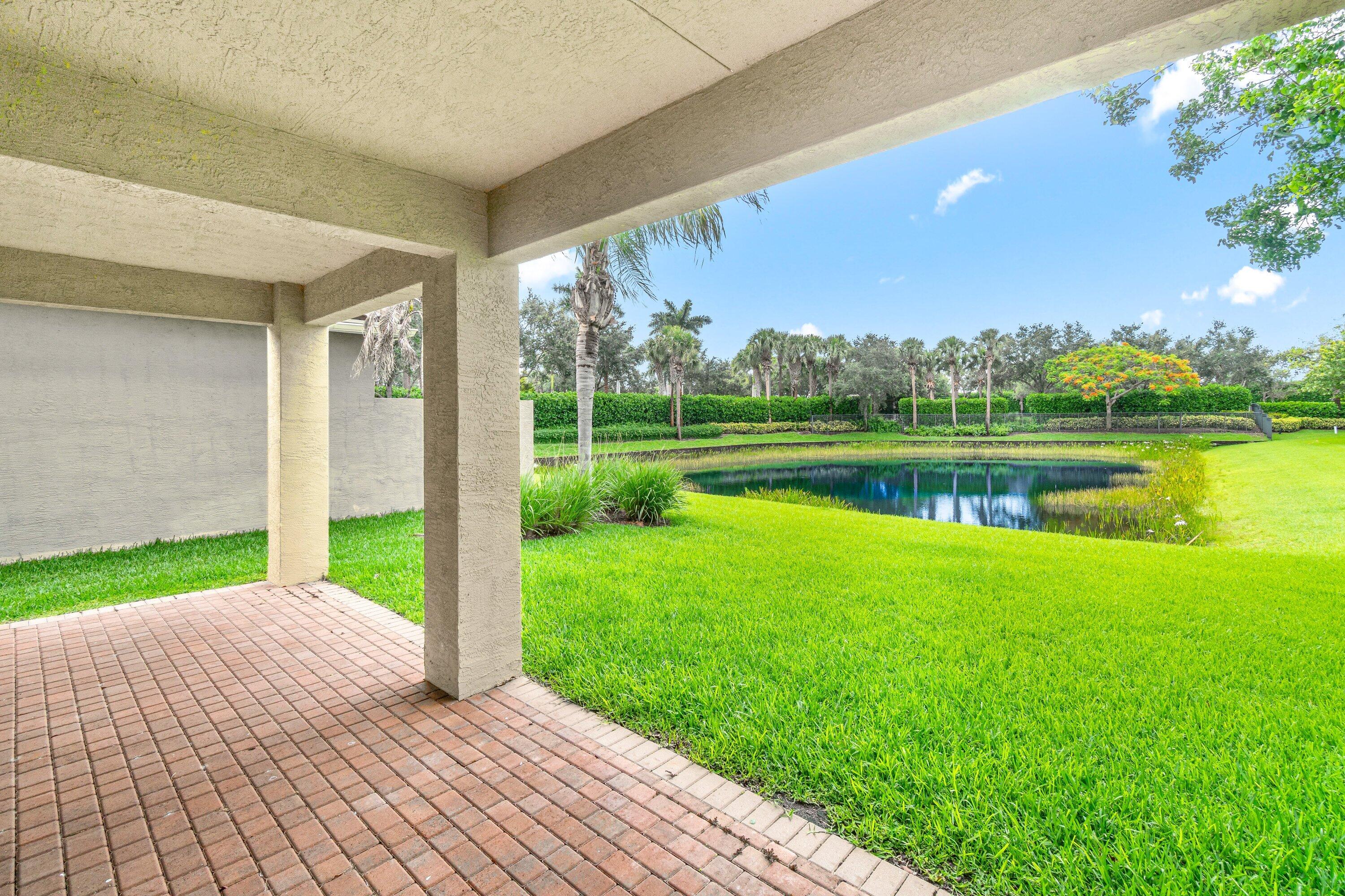Backyard Oasis