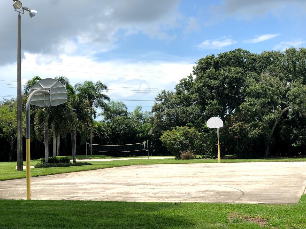 Basket and Volleyball