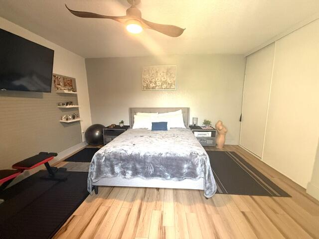 22184- Pic 47