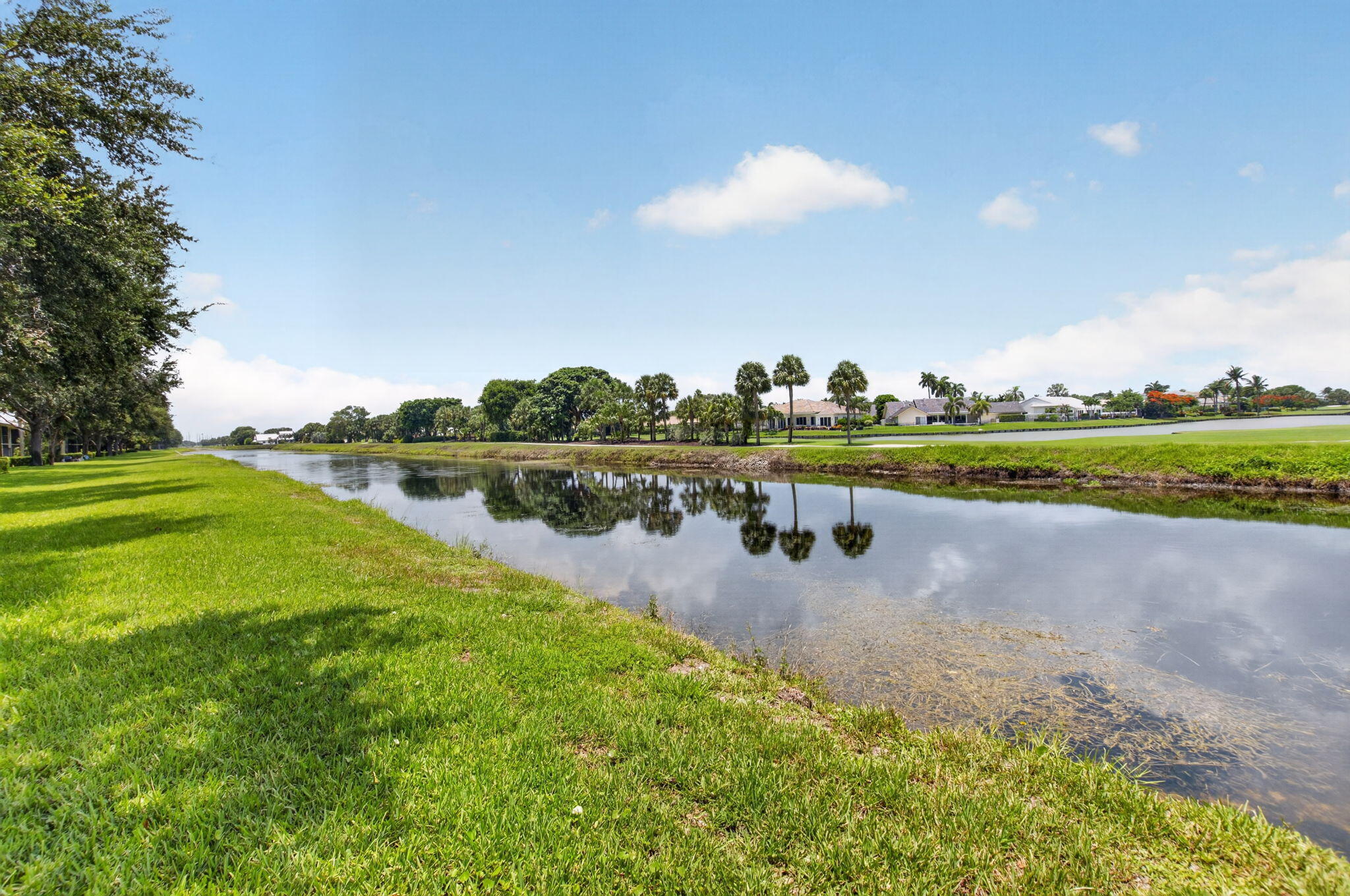 48-web-or-mls-DSC_2789