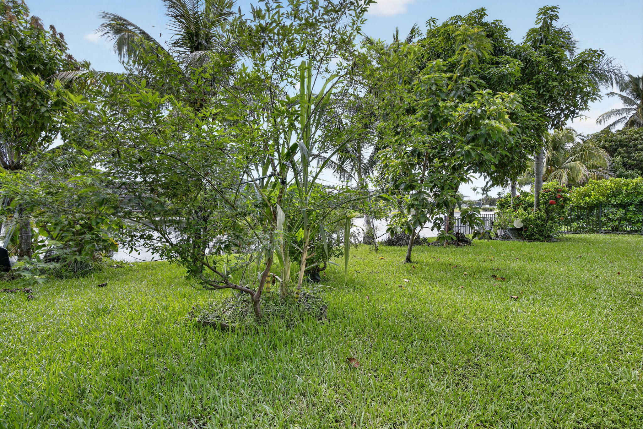 31-web-or-mls-_A7A8085