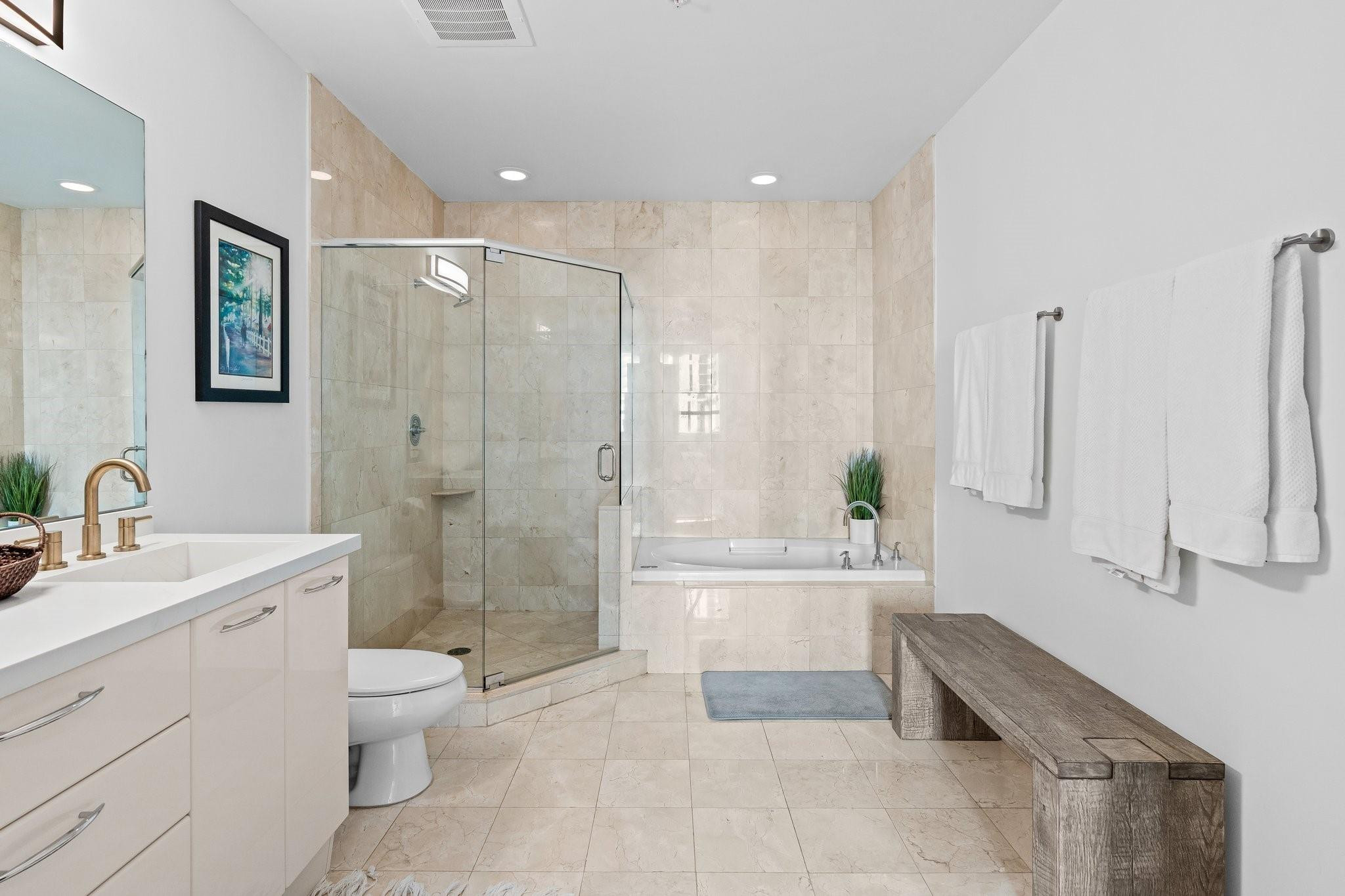 Dual Sink - Shower & Tub